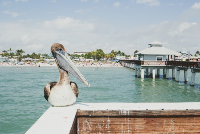 Gay Fort Myers – Ultimate Travel Guide, Hotels, Restaurants, Bars & Activities (Updated 2024) 1 gay fort myers